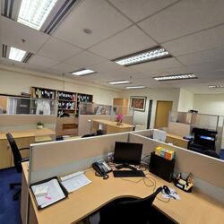 Tan Eng Kiam Building (D1), Office #557113551